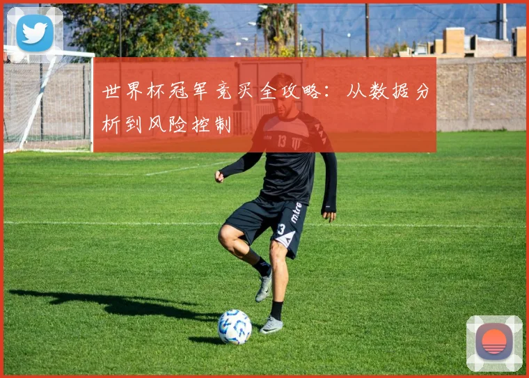 世界杯冠军竞买全攻略：从数据分析到风险控制