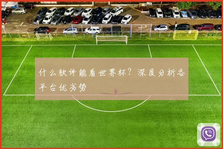 什么软件能看世界杯？深度分析各平台优劣势