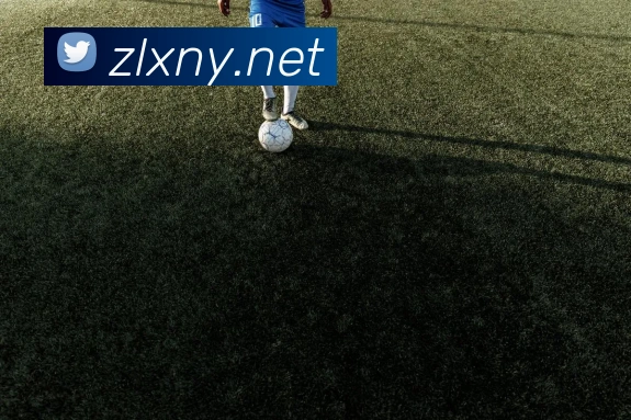 奖项证书